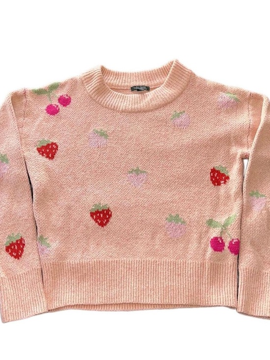 wild fable Sweaters - Cozy Pink Strawberry & Cherry Crewneck Sweater